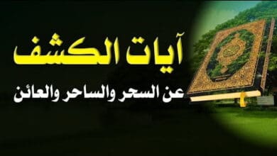 أعراض سحر الطيور