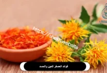 فوائد العصفر للعين والحسد​