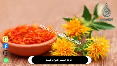 فوائد العصفر للعين والحسد​