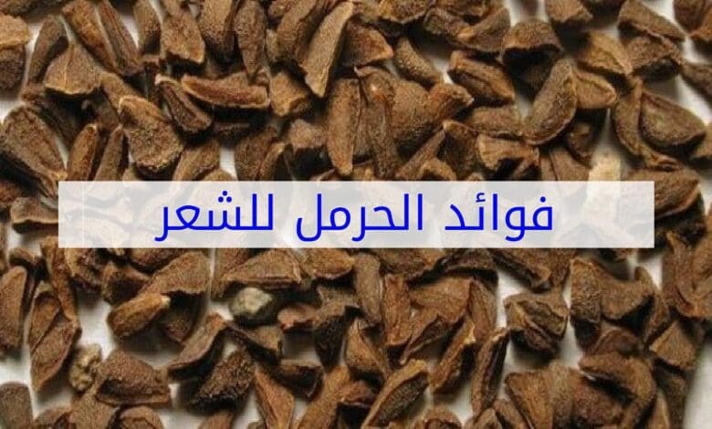 جلب الحبيب للزواج لخطبتك